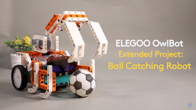 Tutorial: Ball Catching Robot - OwlBot Extended Project